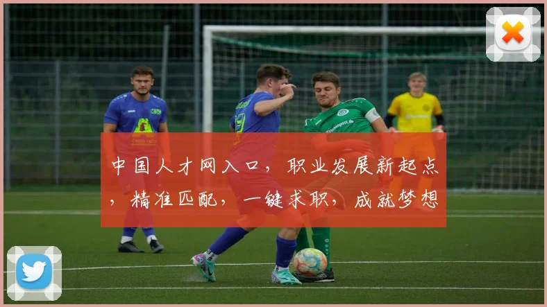 中国人才网入口，职业发展新起点，精准匹配，一键求职，成就梦想，三步走