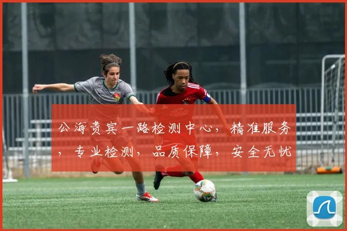 公海贵宾一路检测中心，精准服务，专业检测，品质保障，安全无忧，三重保障，值得信赖