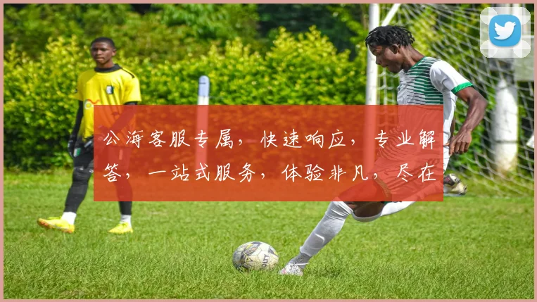公海客服专属，快速响应，专业解答，一站式服务，体验非凡，尽在公海客服中心，三重惊喜，不容错过